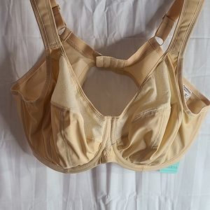 Goddess bra 38H tan